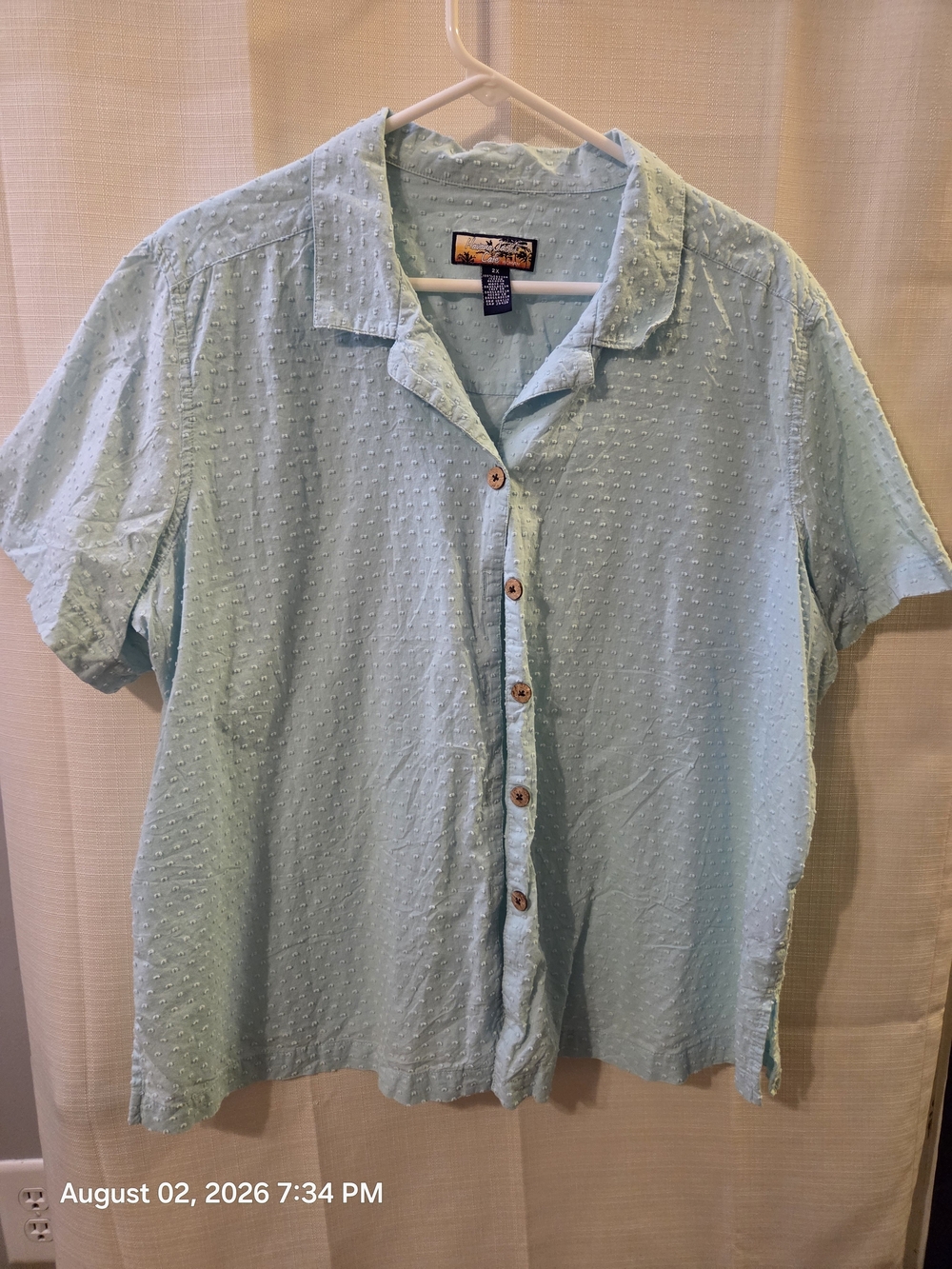 Light Aqua Short-Sleeve Button-Down Shirt